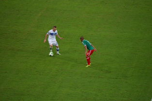 官方网站 -纳达尔赛事官方发布爆冷新规，法国队争议不断！